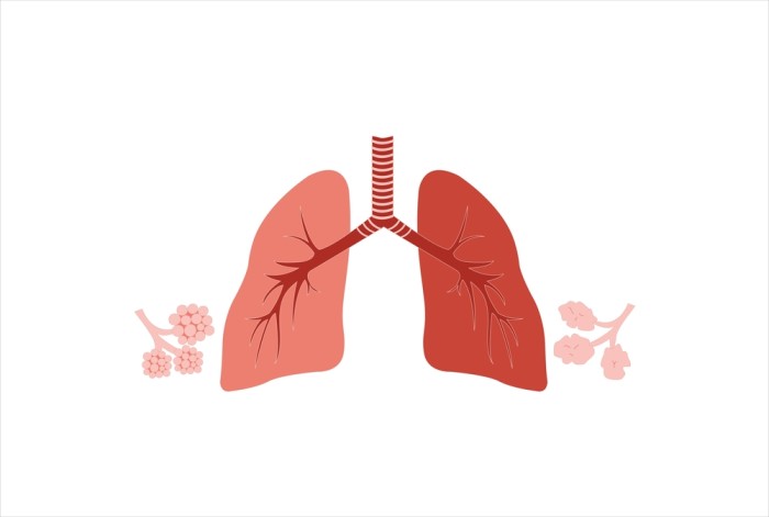 Chest Specialist in Vijayawada
