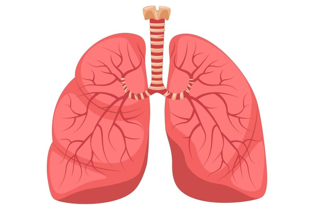 Lung Specialist in Vijayawada